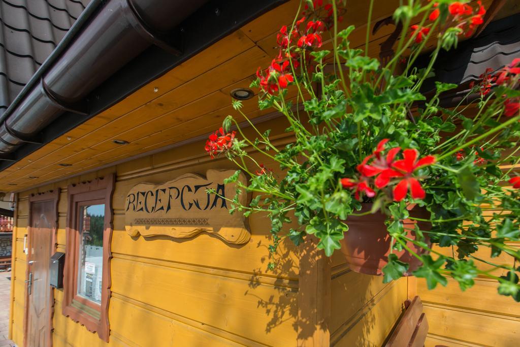 Willa Stachoniowka Zakopane Exteriér fotografie